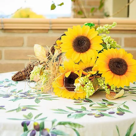 Eden Aparthotel Mozzagrogna