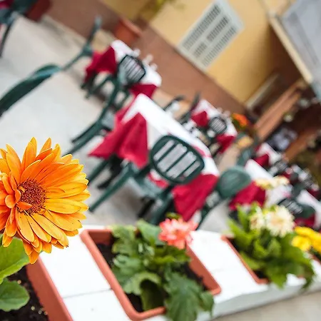Aparthotel Eden Mozzagrogna