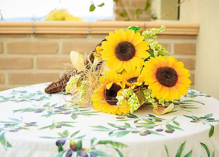 Eden Apart-hotel Mozzagrogna