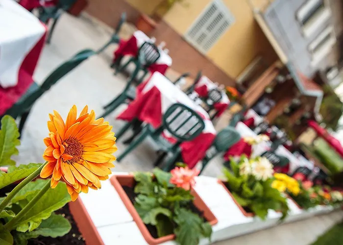 Apart-hotel Eden Mozzagrogna