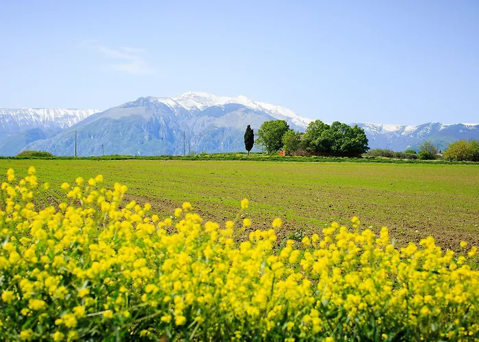 Aparthotel Eden Mozzagrogna